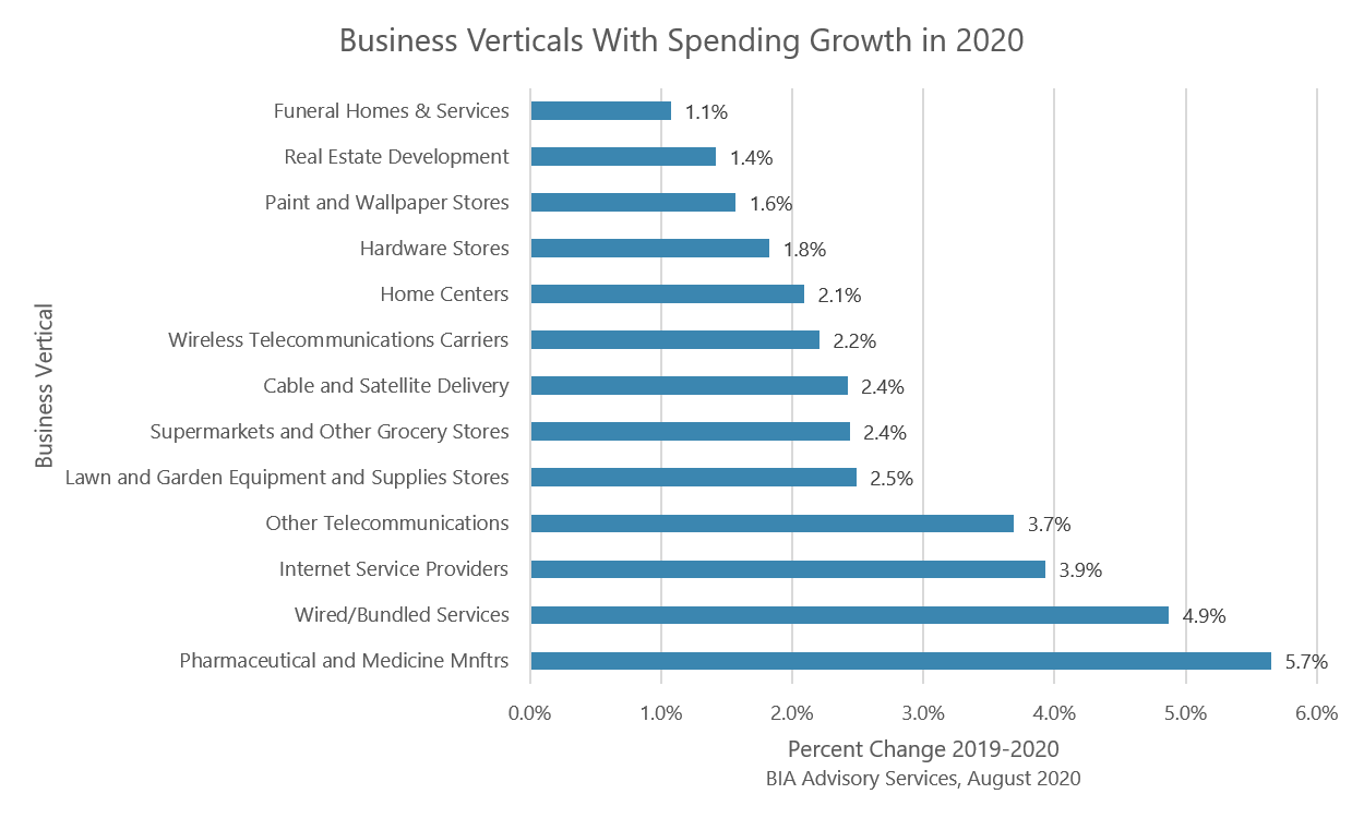 Growing Business Verticals 2020